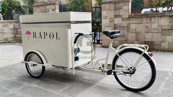 Eco-vriendelijke chique fietsen voor stedelijke hotellobbies 220V/380V