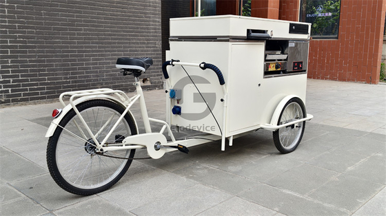 Eco-vriendelijke chique fietsen voor stedelijke hotellobbies 220V/380V