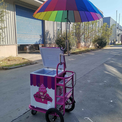 Mobiele ijsverkopers met koelkast en paraplu verkopers