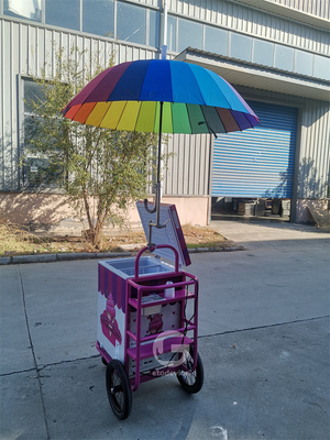 Europe Standard Street Mobile ijsstand Vending ijsmandje met vriezer
