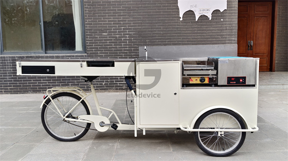 Duurzame stijl milieuvriendelijke fietsen voor stedelijke hotels aangepaste kleur