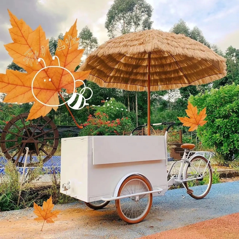 Mobiele Voedselfietskarretjes Fietsnoten Snack Food Cart met en Mobiele Hot Dog Cart