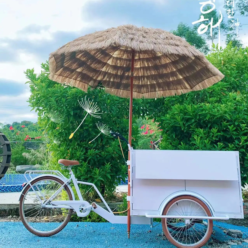 100 kg Retro Koffiefiets voor straat Mobiele Koffiefiets Winkel Fiets Fast Food Koffiefiets