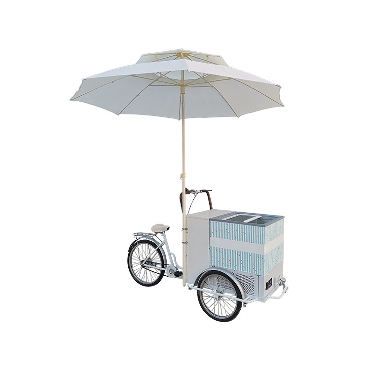 220V/380V Spanningsfiets-aanhangwagen voor het verkopen van ijs en vers fruit