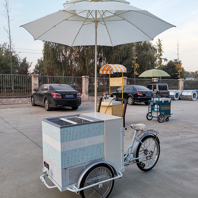 220V/380V Multifunktioneel Outdoor IJsfietsmandje Hot Dog Food Bike 80kg Capaciteit