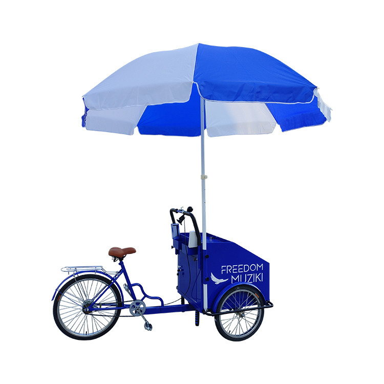 220V/380V Mobiele straatvoedselfiets Vending Cart Driewieler voor gemakkelijke bediening en installatie