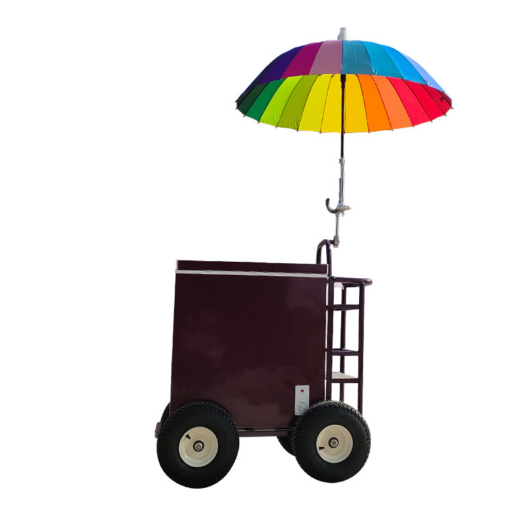 Fastfood op maat IJssticke push cart met logo Verbeter uw bedrijfsbeeld