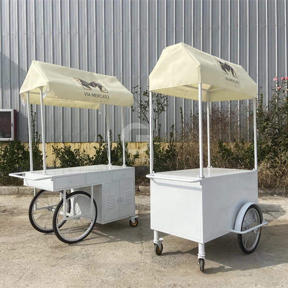 Kleine draagbare elektrische wagen Koud plaat duwen paraplu Buiten Mini Wheel Supermarkt wagen