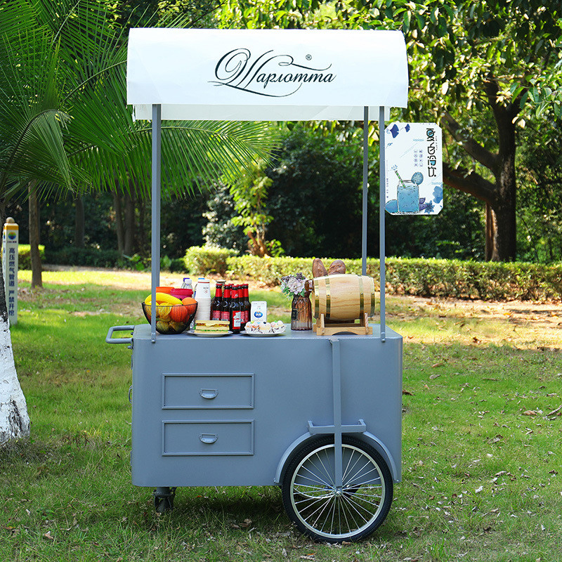 Draagbare snack voedsel hand push Cart straatverkoper Food Delivery Bike met display vriezer
