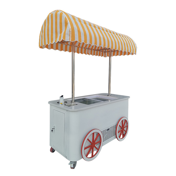 Op maat gemaakte straatkarretjes met koelkast Voedsel Push Cart Nieuwe winkel Markt Park IJsbalk